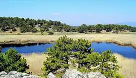 One of the crater lakes in Karagöl near Bozkurt