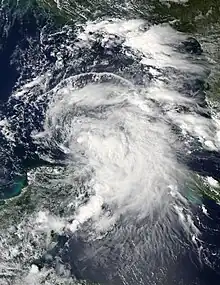 A visible satellite image depicting a disorganized tropical storm in the southern Gulf of Mexico.