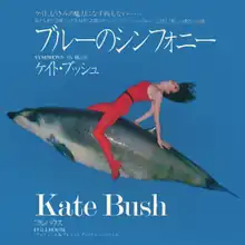 Woman in red clothes (sleeveless shirt and long-sleeve pants) riding on a marine mammal around the blue background. "Symphony in Blue" occupies the top half. Singer-songwriter's name and "Full House" occupy the bottom half. Languages of text are both English and Japanese.