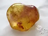 A dark gold transparent smooth lump of resin