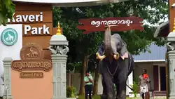 Kaveri Elephant Park Puthenkulam