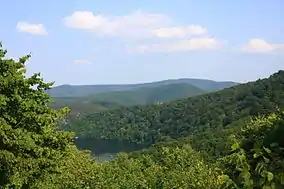 Forest scenery with hills and a lake