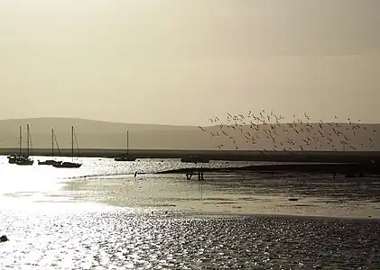 Image 1Winter sunshine at Keyhaven (from Portal:Hampshire/Selected pictures)