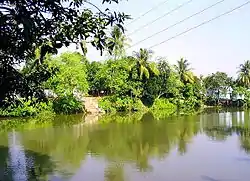 Pond in Khoksa