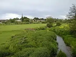 Kingsthorpe Meadow