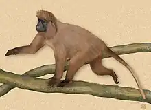 Drawing of brown monkey