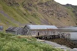 A long wooden building sits on stilts driven into the shore. It, and the nearby buildings are abandoned, grey, and falling apart. A green mountain rises up in the background, flowers and grass in the foreground.