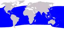 Pygmy sperm whale range