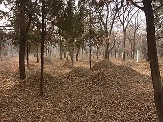 A cemetery landscape