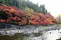 Autumn Leaves in Kōrankei Gorge