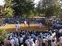 Randukadi Kushti Dangal in Village Khandip