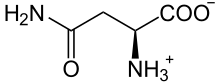 Ball-and-stick model of the L-asparagine molecule as a zwitterion