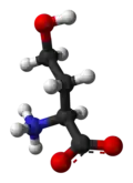 Ball-and-stick model of the zwitterion