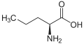 norvaline (n-propyl side-chain)