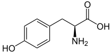 L-Tyrosine