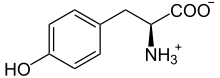 L-Tyrosin