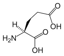 L-Glutamic acid(Glu / E)