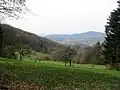 With a view from the Lauter- Valley (Hohenstein) to the Melibokus (right) and the Auerbach Castle (background, in the middle)