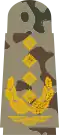 General(flecktarn)