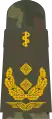 General-stabsarzt(human medicine)