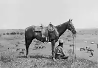 Erwin E. Smith (1886–1947), A wrangler keeping an eye on the remuda grazing below in an arroyo, 1910