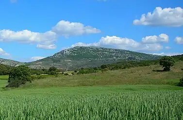 La Modorra, highest peak in the Sierra de Cucalón system