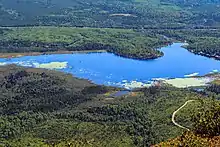 Lac des Cygnes