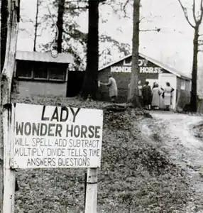 Sign for Lady Wonder