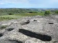 Remains of a medieval winepress in the Rioja Alavesa