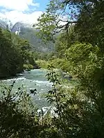 Mountain lake surrounded by trees