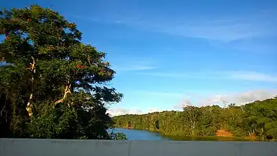 View of Lago de Cidra from PR-172 bridge