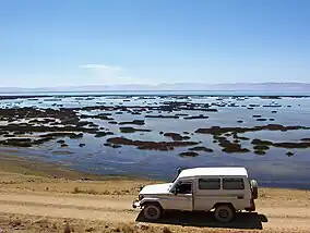 Partial view of Lake Junin