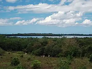 View of the lagoon