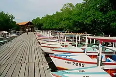 Rental boats