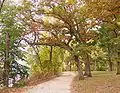 The Lakeshore Path behind the UW–Madison lakeshore residence halls