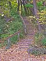 Stairs leading from the Lakeshore Path to Muir Woods