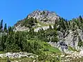 Lane Peak's southeast face in summer