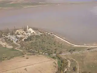 Aerial photo of the Larnaca Salt Lake (in winter) with Hala Sultan Tekke