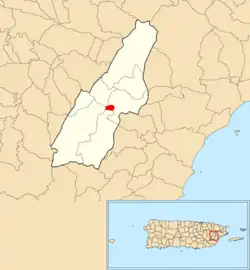 Location of Las Piedras barrio-pueblo within the municipality of Las Piedras shown in red