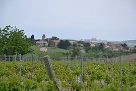 A general view of Lasserre-de-Prouille