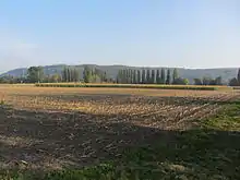 La Vieille Thielle, archeological site