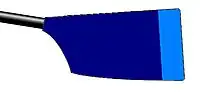 Image showing the rowing club's blade colours