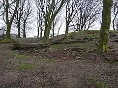 View of the inner mound