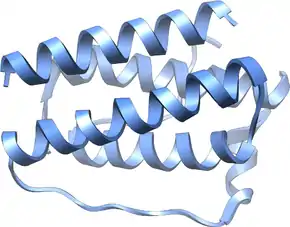 A three-dimensional model with two pairs of opposed curling columns attached together at their ends by more linear segments.