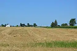 Stubble field just southwest of West Leipsic