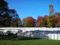 cemetery view