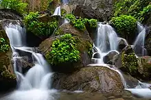 Water flowing down a rocky waterfall with vegetation throughout