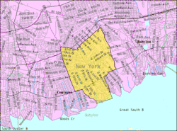 U.S. Census map