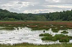 View of lake