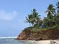 Coast of Little Corn Island